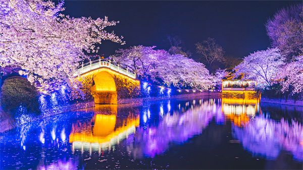 这些公园亮火狐电竞化设计要点你需要提前知道(图2)