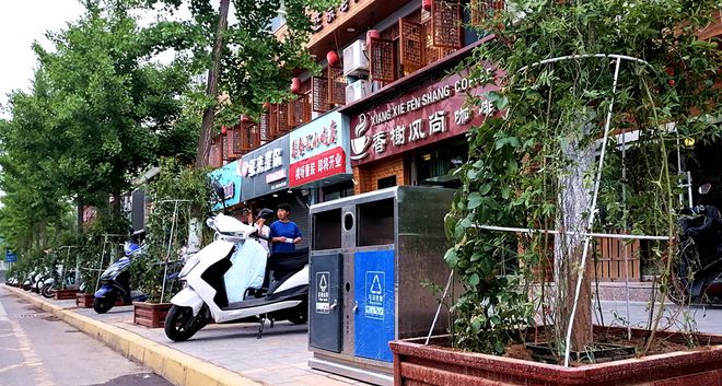 甘肃清水：构筑火狐电竞城市绿化最美风景线(图5)
