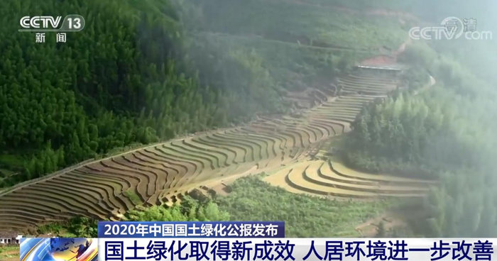 2020年我国国土绿化取得新成效 人居环境进一步改善火狐电竞(图1)