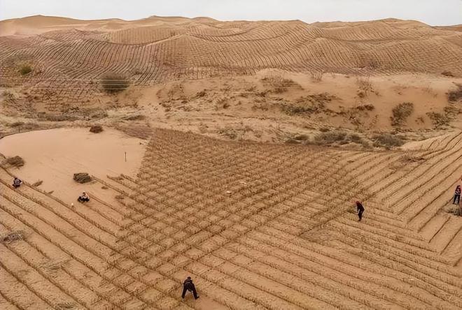 火狐电竞地球逐渐绿色化主要是中国和印度发力但印度绿色化却让人担忧(图7)