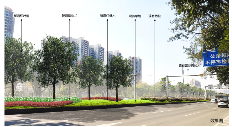 火狐电竞广州广园快速路中央分隔带拟完善绿化补种乡土乔木(图1)