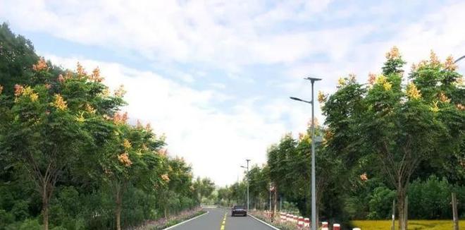 火狐电竞效果图来了！中山公园、莲花公园提升改造启动还有……(图6)