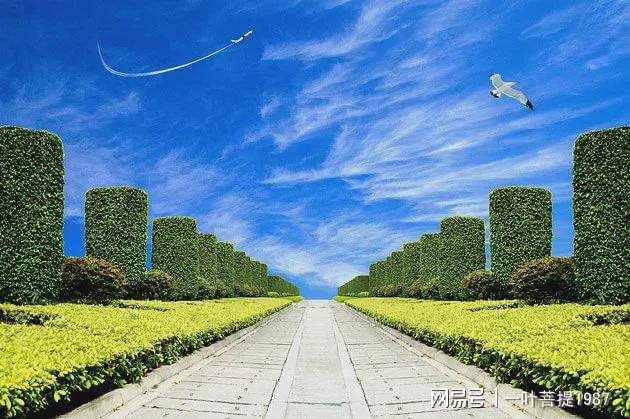 火狐电竞老同学告诉我来钱最快的方式：接市政工程！(图1)