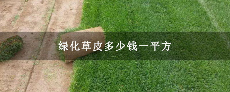 ⣼火狐电竞绿化草皮多少钱一平方(图1)