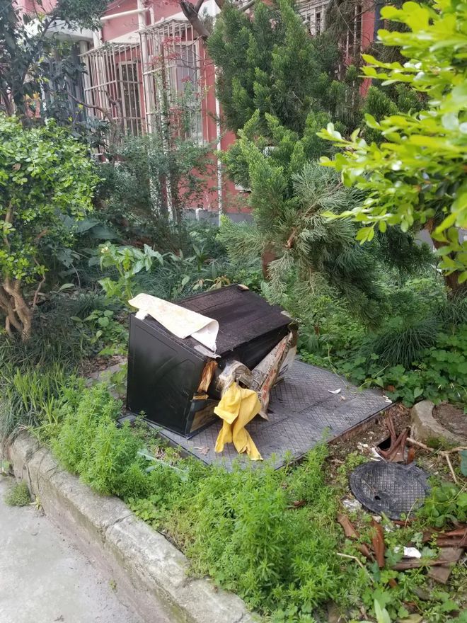 火狐电竞绿化带无人管？费用谁来出？普陀这个“红色议事厅”为居民“支招”！(图5)