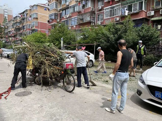 火狐电竞绿化带无人管？费用谁来出？普陀这个“红色议事厅”为居民“支招”！(图9)