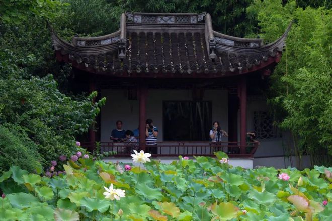 火狐电竞好消息！上海将进一步加大公园免费开放力度降低公园门票价格(图3)