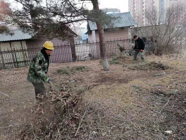 火狐电竞敦化市住建局加强春季绿化养护工作(图3)