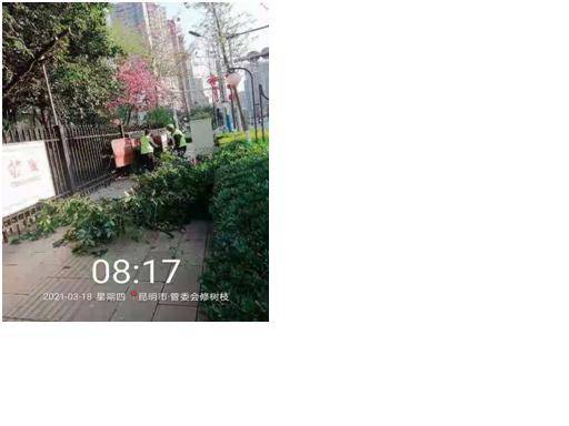 火狐电竞高新区规建局扎实做好春季绿化养护工作(图2)