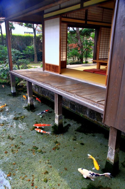 12个火狐电竞日式庭院花园设计建一个这样的院子极简精致还省钱！(图1)