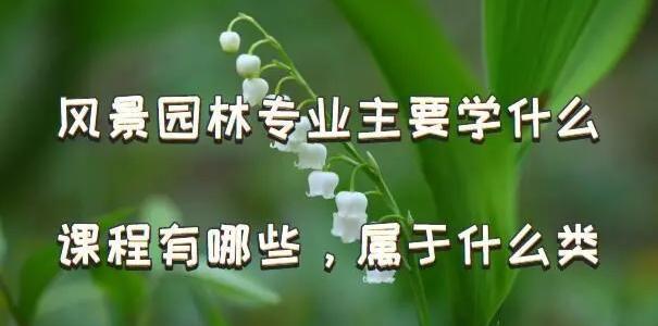 教育部力挺“招小学数学老师要求风景园林专业”火狐电竞行为！网友：不服(图2)