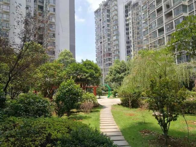 入住小区绿化率高会有火狐电竞哪些好处(图1)
