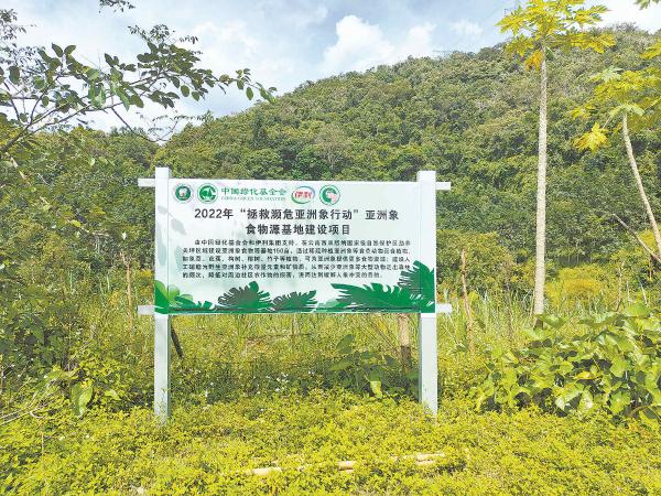 年度盘点 中国绿化基金火狐电竞会：凝聚社会力量 筑梦生态中国(图4)
