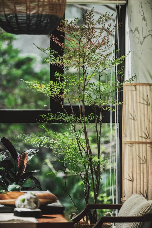 在私宅中藏着一个火狐电竞神仙般的后花园贵阳别墅装修参考案例(图2)