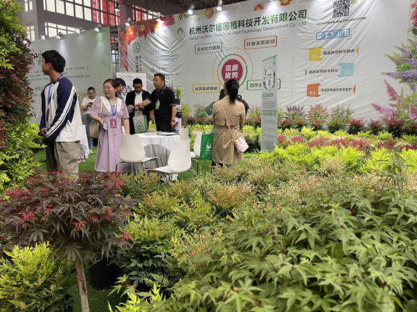 第十届黄河三角洲（滨州·惠民）绿化苗木博览会开幕火狐电竞(图2)
