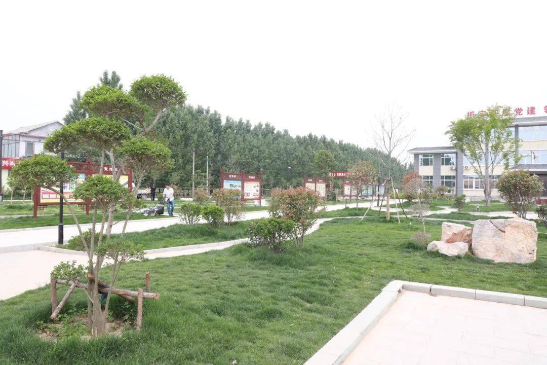 火狐电竞济宁市坚持造管并重 科学推进国土绿化(图3)
