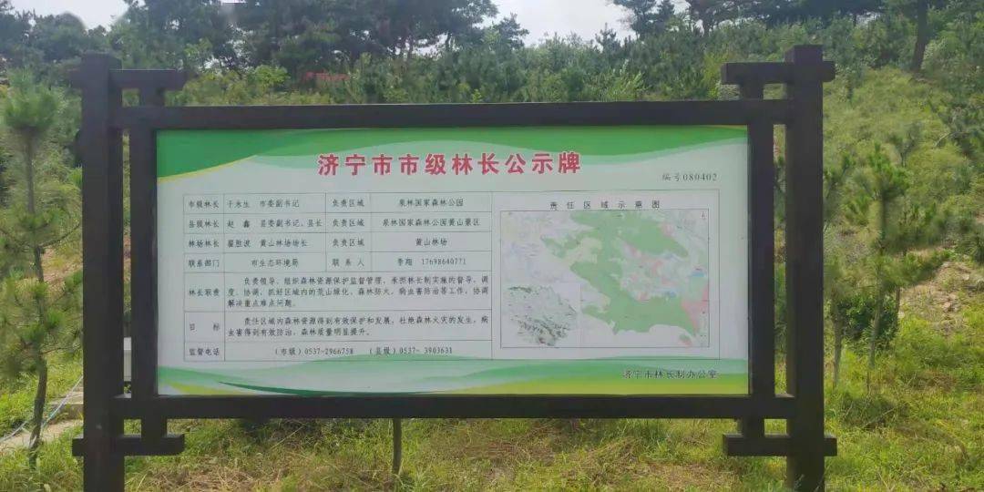火狐电竞济宁市坚持造管并重 科学推进国土绿化(图5)