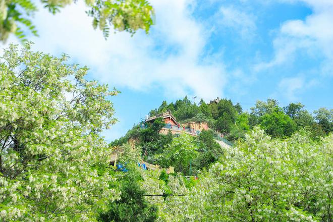 清水：绘就绿火狐电竞色画卷 打造生态花园(图)(图6)