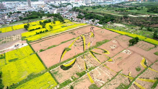 清水：绘就绿火狐电竞色画卷 打造生态花园(图)(图5)