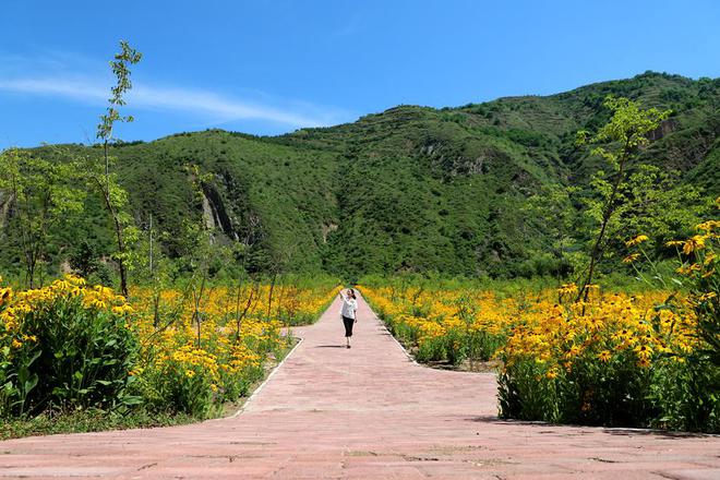 清水：绘就绿火狐电竞色画卷 打造生态花园(图)(图3)