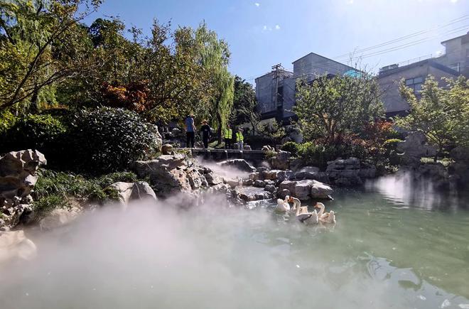 清水：绘就绿火狐电竞色画卷 打造生态花园(图)(图2)