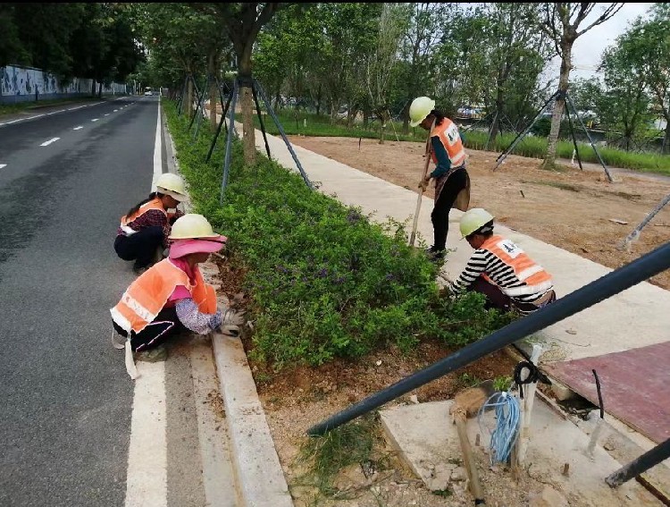 重庆从事园林绿火狐电竞化团队联系方式(图2)