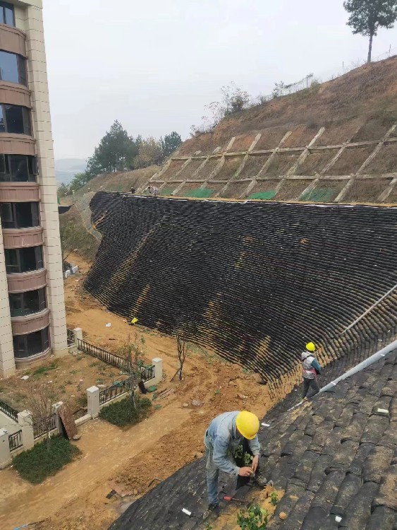 重庆从事园林绿火狐电竞化团队联系方式(图3)