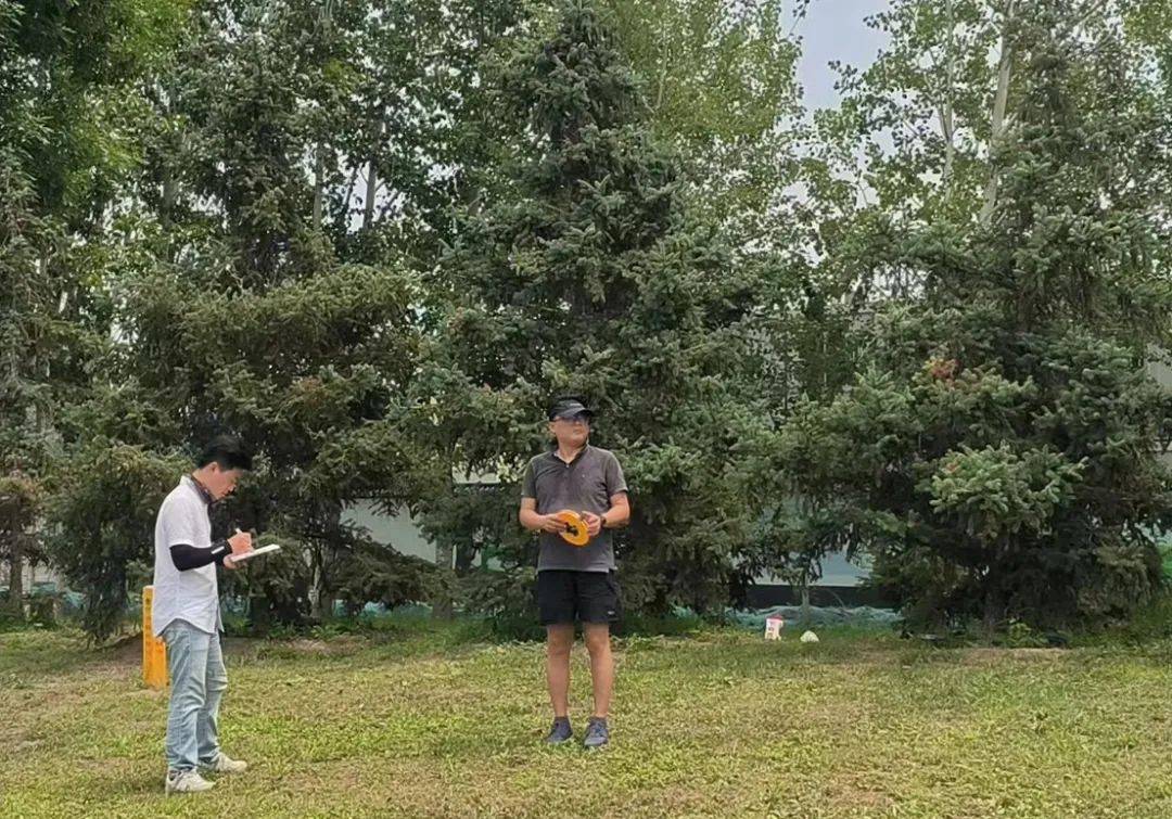 火狐电竞揭晓 “千年运河·美丽家园”—— 2023年河北省园林绿化设计竞赛圆满结束暨获奖名单公布(图3)