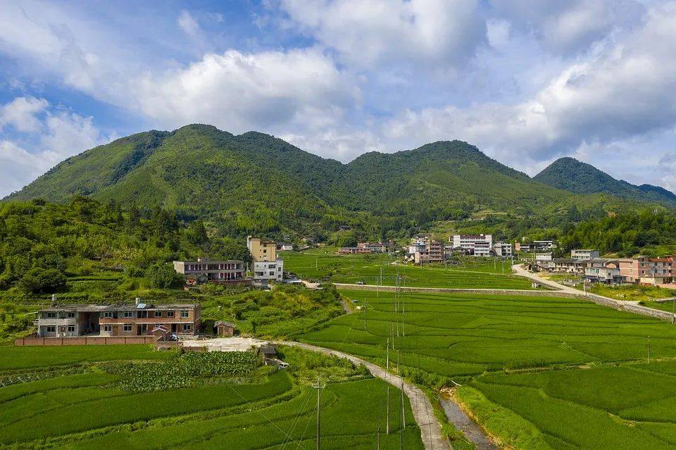 “十三五”国土绿化规划任务如期完成火狐电竞美丽中国建设再上新征程(图1)
