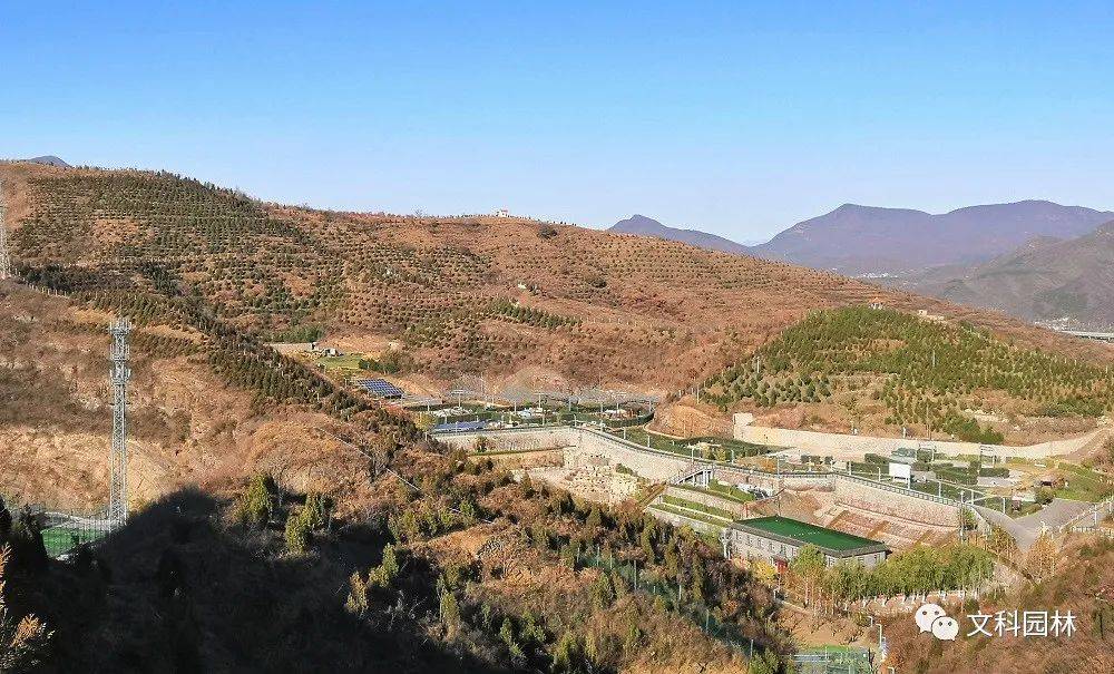 “十三五”国土绿化规划任务如期完成火狐电竞美丽中国建设再上新征程(图3)