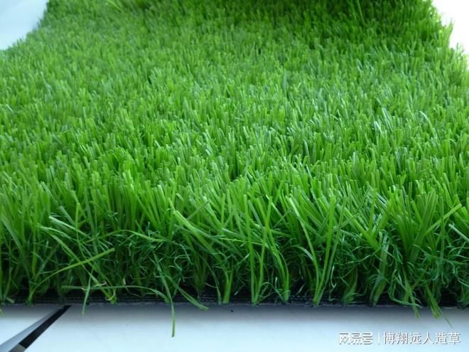 绿化人造草坪多少钱一平米火狐电竞(图1)