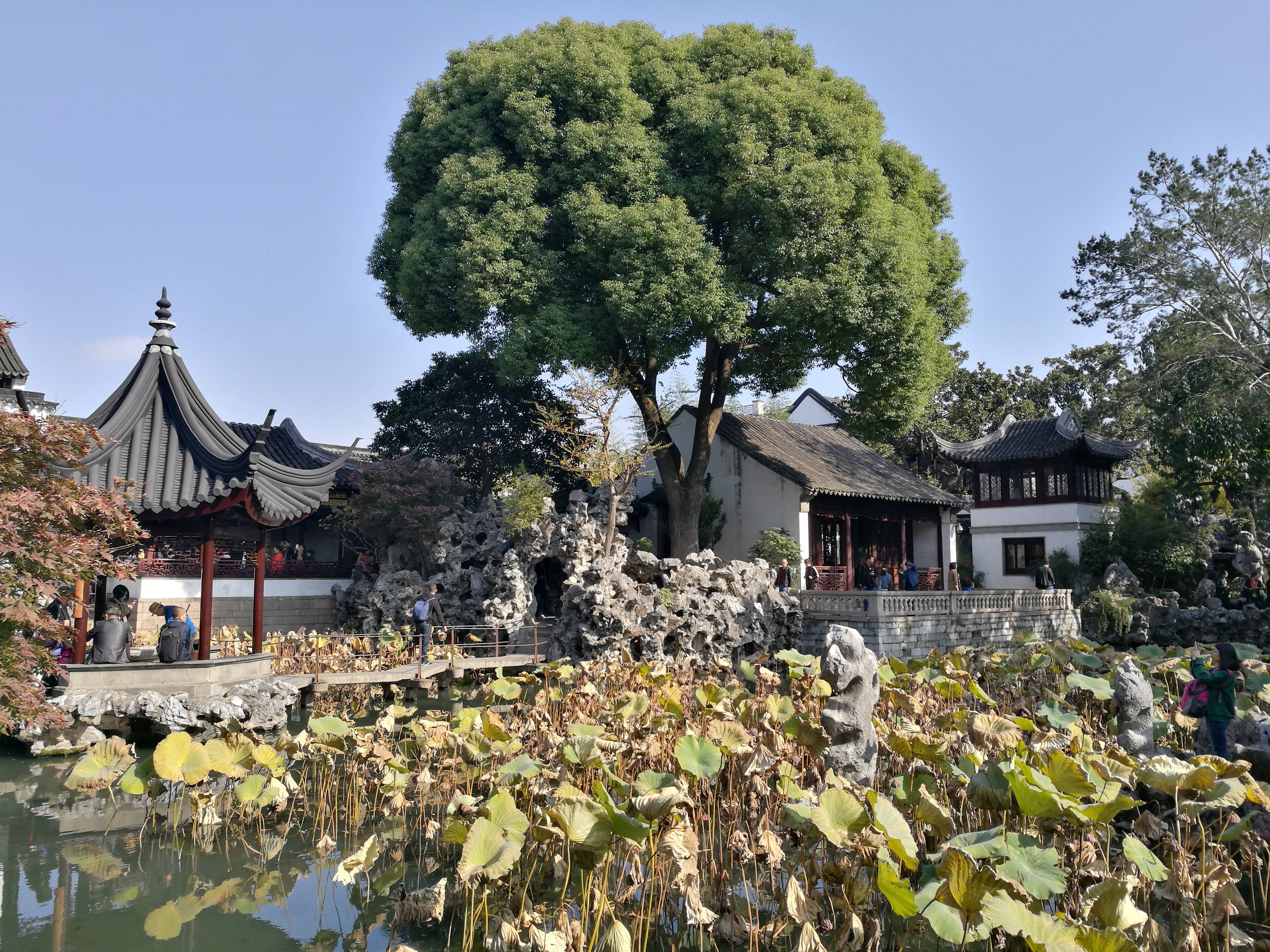 苏州四大名园之一以其精巧的火狐电竞园林布局和雅致的建筑风格而闻名(图1)
