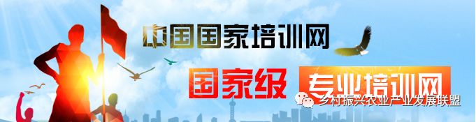 火狐电竞【行业必备】农林行业职业技能证书、农林专业职称证书考培评审介绍(图1)