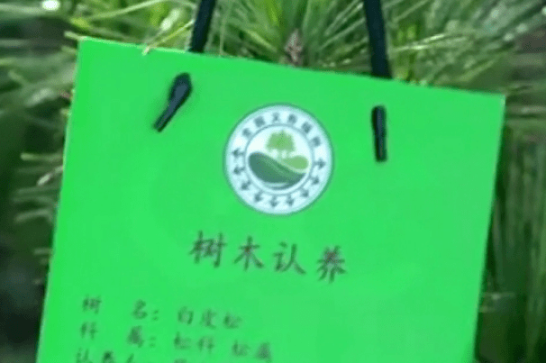 火狐电竞“植”此青绿等你来！(图6)