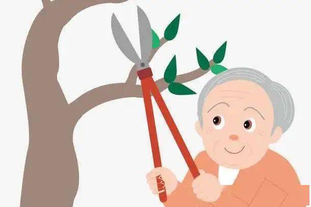 火狐电竞“植”此青绿等你来！(图4)
