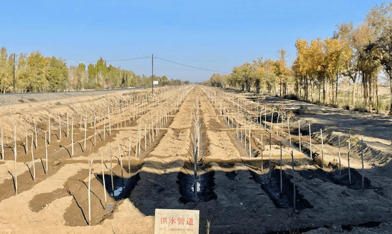 火狐电竞一四九团：植树造林添新绿 共建生态好家园(图3)