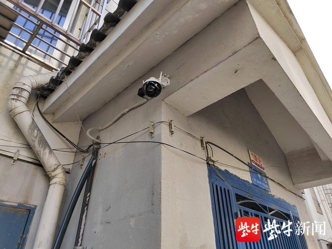 火狐电竞小区绿化带成垃圾“随手扔”之地？监控取证+图片曝光！(图1)