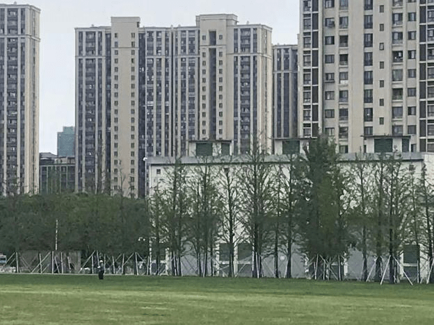 火狐电竞绿化资源节约再利用更新扮靓城市绿色空间(图1)