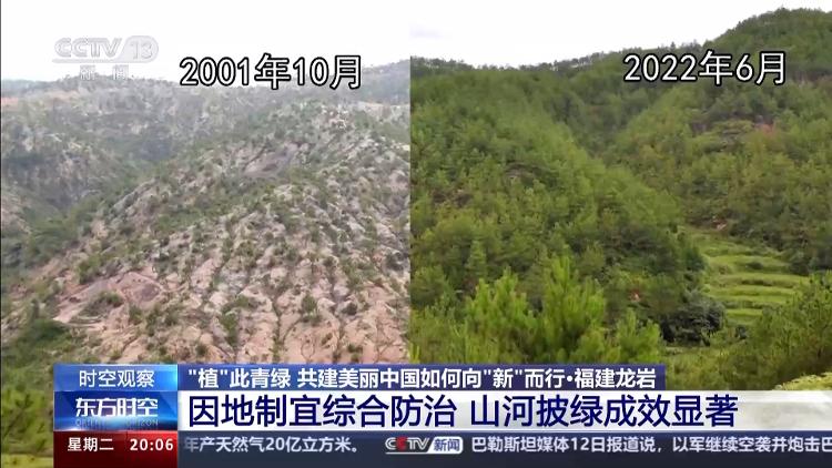 火狐电竞时空观察丨“植”此青绿 共建美丽中国如何向“新”而行？(图1)