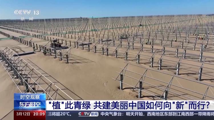 火狐电竞时空观察丨“植”此青绿 共建美丽中国如何向“新”而行？(图4)