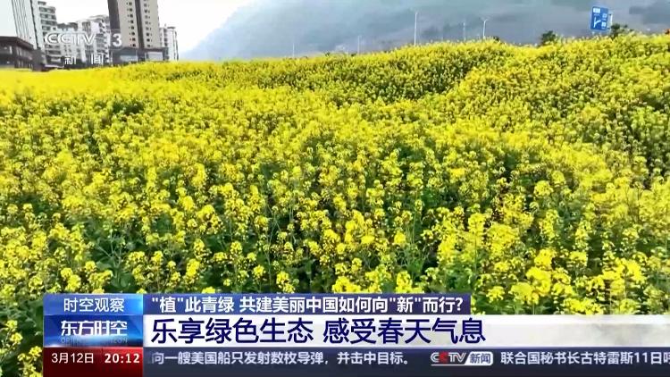 火狐电竞时空观察丨“植”此青绿 共建美丽中国如何向“新”而行？(图6)