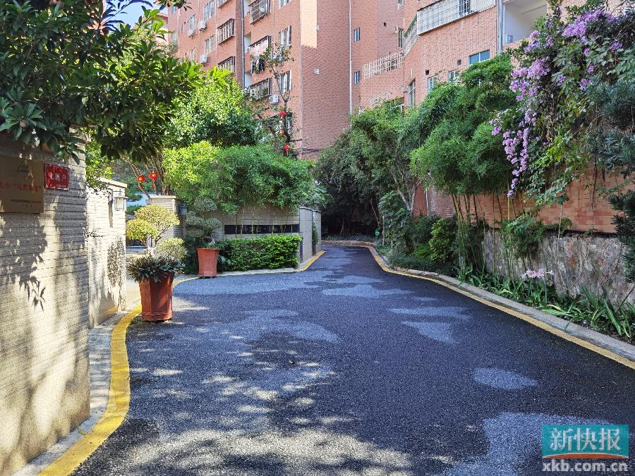 火狐电竞梅州市梅县区程江镇古塘村：“美丽庭院”蓄势以待 升级蝶变“富美家园”(图3)