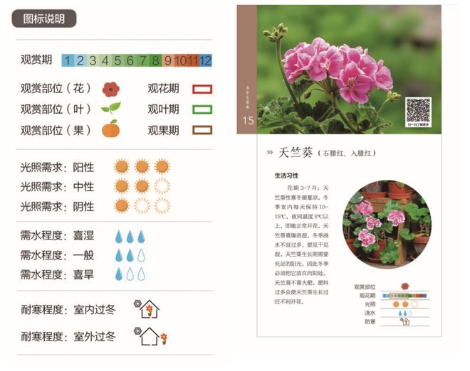 火狐电竞窗阳台哪些花好看又好养？官方版66种观赏植物有多肉有蔬菜(图1)