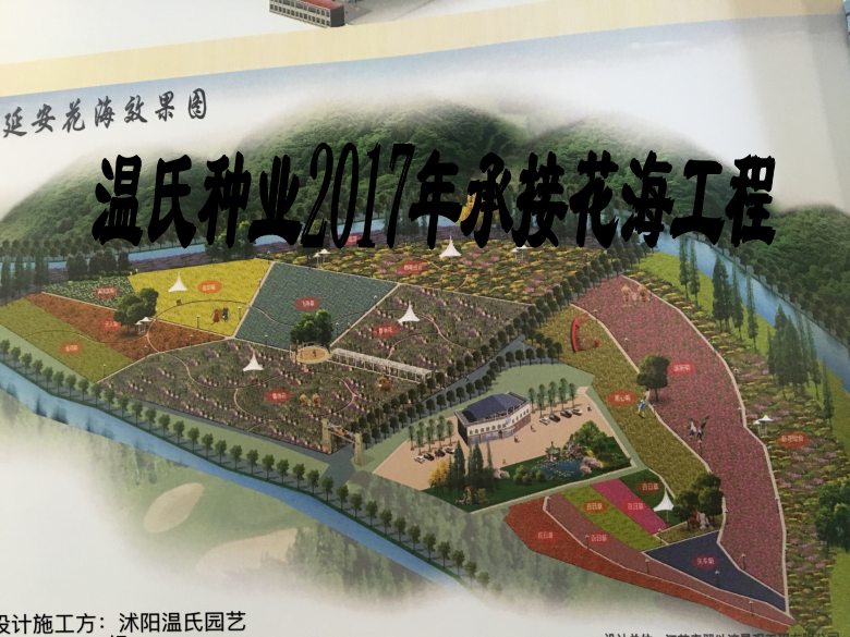 火狐电竞宁夏吴忠市桔梗种子草坪贴图(图3)