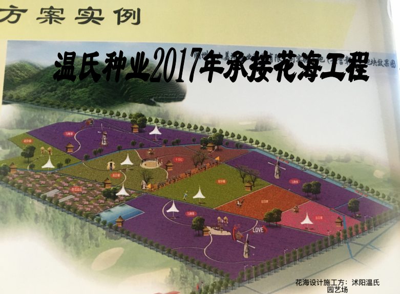 火狐电竞宁夏吴忠市桔梗种子草坪贴图(图4)