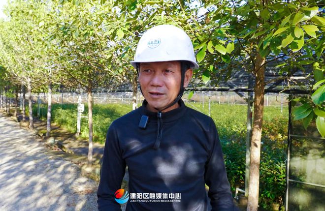 乡村振兴看建火狐电竞阳丨建阳鑫绿苗圃基地：壮大绿色产业 助力乡村振兴(图3)