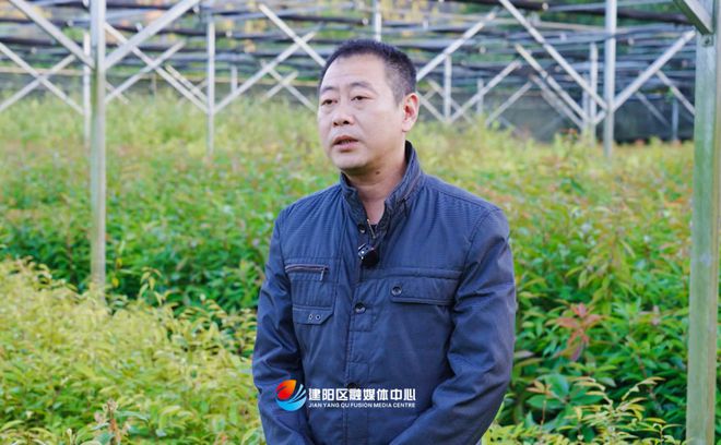 乡村振兴看建火狐电竞阳丨建阳鑫绿苗圃基地：壮大绿色产业 助力乡村振兴(图6)