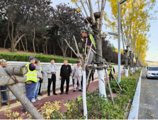 烟台市园林建设养护中心火狐电竞多措并举做好秋季绿化养护工作(图1)