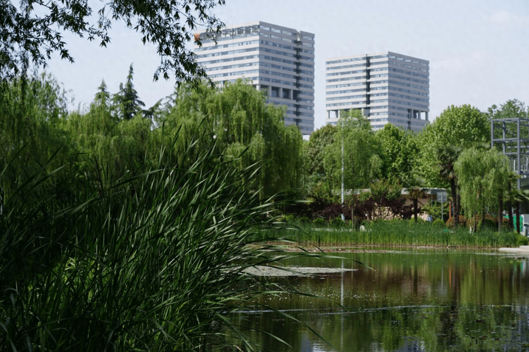 火狐电竞成长在丝路软件城丨理想之城崛起！城市活力MAX(图2)
