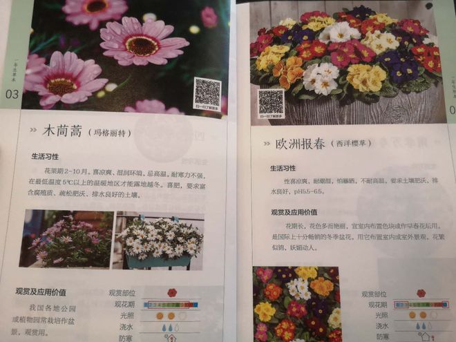 火狐电竞上海试点窗阳台绿化 首批66种推荐植物敲定(图1)